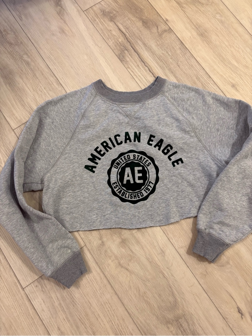 American Eagle Outfitters Light Gray Cropped Crew Sweatshirt with Black Logo